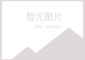 安阳文峰南松金融有限公司